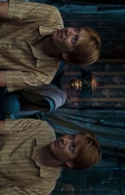 Fred x Reader x George Weasley