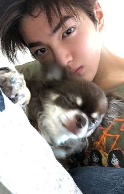 GẶP ĐƯỢC CHỊ LÀ NHỜ COOKIE