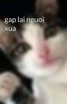 gap lai nguoi xua