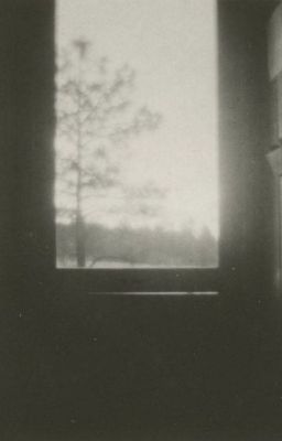 geminifourth; anemoia