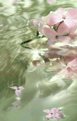 gen22  ִ ࣪𖤐 detective chenchi.