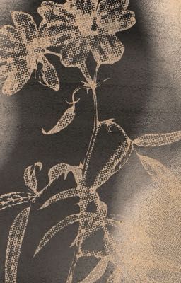 genmui | giấc mơ trắng.