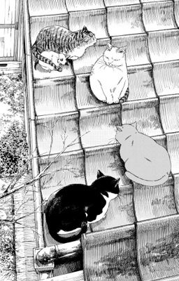| genmui | match made