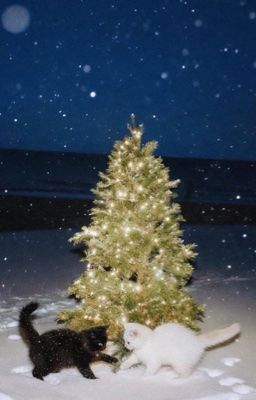 geonxin ⨾ inner thoughts