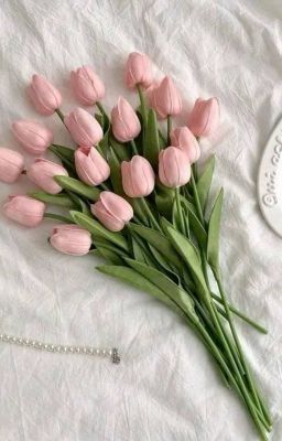 Geonxin | Lễ đường