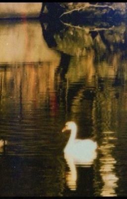 geonxin - tự tình