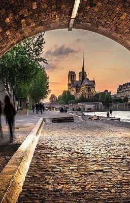GIÓ SÔNG SEINE & NGƯỜI ĐI LẠC 