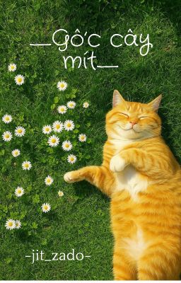 ---Gốc cây mít---