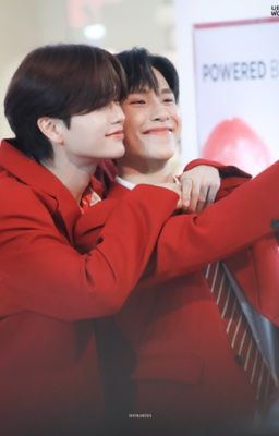 Góc nhỏ của JuniorMark