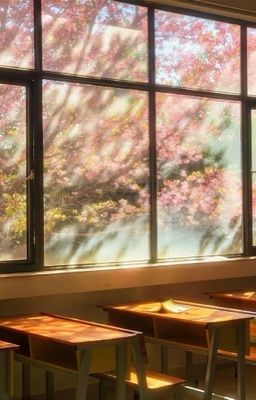 Góc nhỏ thanh xuân