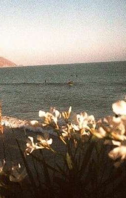 Góc nhỏ vẽ thơ ca