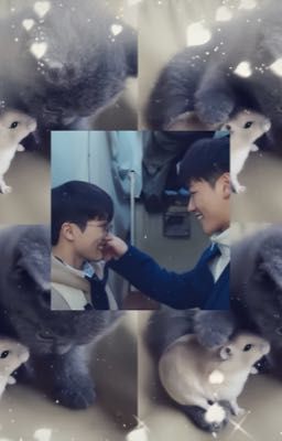 [ Gotak x Juntae ] Kiss me better