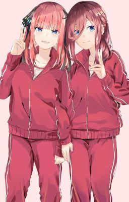 [Gotoubun no Hanayome - Oneshort] (NinoMiku) Cách OTP đến với nhau?