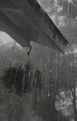 greybinh - so bad