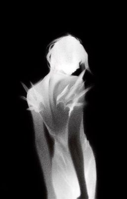 [GTOP] Ánh Trăng
