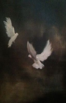 gtop | Mộ Hoa Trắng Giữa Đồng Xanh