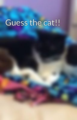 Guess the cat!!