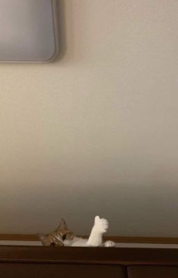 Gửi tình yêu tới em