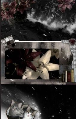 Guke -| Mù đường |- 