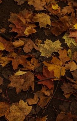 guke ; sienna, oh my little sienna.