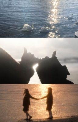 guke ; the swan lake.