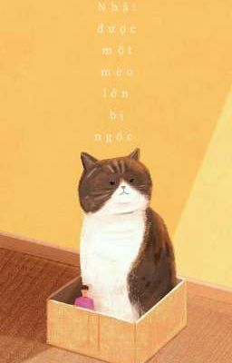 [GuOn] Nhặt được một mèo lớn bị ngốc!