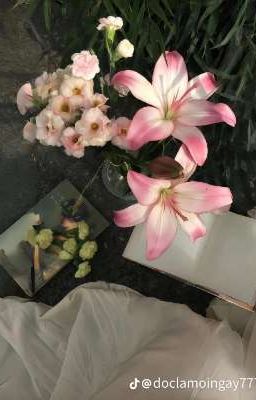 Guri; Nắng bên ô cửa sổ