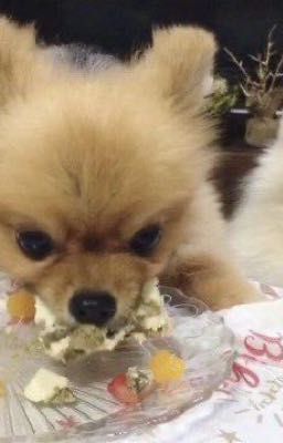 guria | biết chơi game ko mậy?