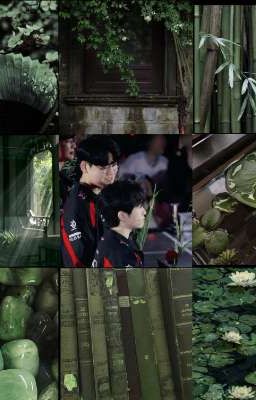 [Guria] bình rượu mơ của cha