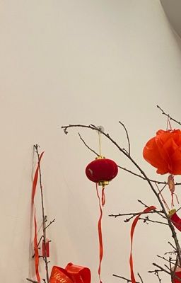 Guria | Người trong tuyết, hoa trong tim