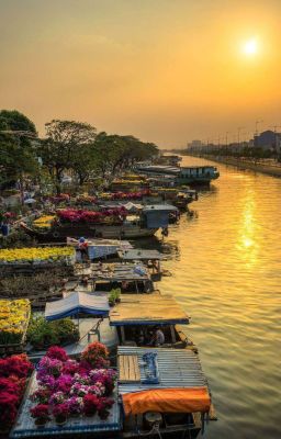 Guria • Trai Thành Thị Gặp Trai Quê
