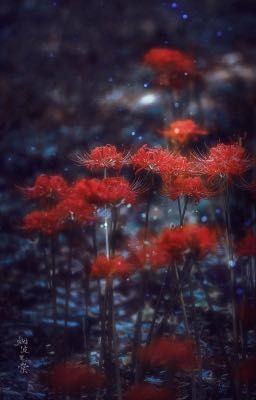 Hà Phong Tế Vũ | Simp