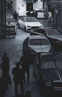 Hắc Đạo Vấn Tâm 