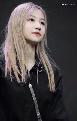 [Hắc Miêu][Edit] Trở về tương lai