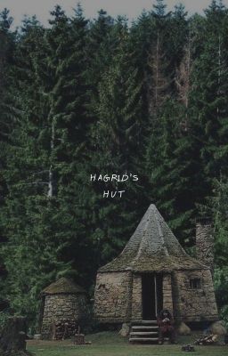 HAGRID'S HUT.   (AWARDS)