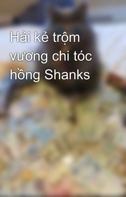 Hải kẻ trộm vương chi tóc hồng Shanks