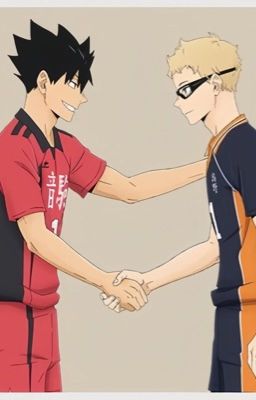 [Haikyuu!! Fanfiction] [KRTSK] Hôm nay mèo con có ngắm trăng không?