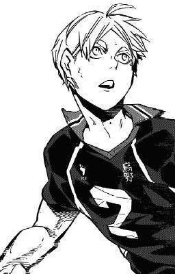 『 haikyuu - sugahina 』 hỉ nộ ái ố ai lạc dục. 