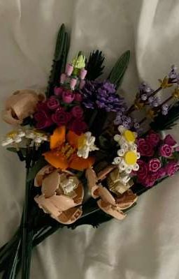 [hanyeol] tiệm lego