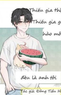 Hào môn thiếu gia thật, thiếu gia giả đều là ta ca