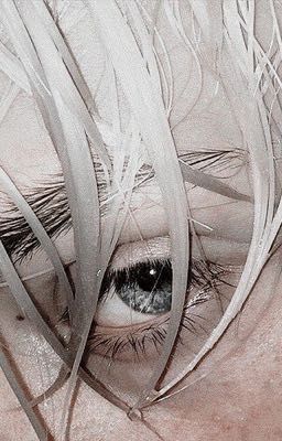 hardra | apple of my eye.