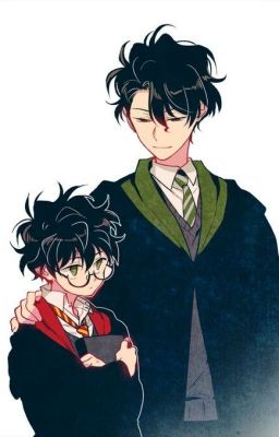 [Harry Potter đồng nhân] Trọng sinh chi Hogwarts (Phần 2)