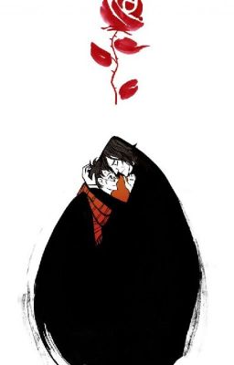 (Harry Potter) Em là đấng cứu thế của đời anh