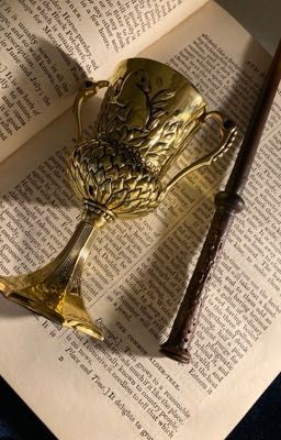 |Harry Potter| Hệ thống Ma Pháp Thức Tỉnh của tôi không được hữu dụng cho lắm