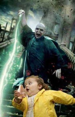 harry potter | simply
