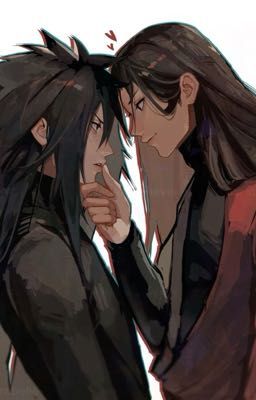  HashiMada | cat in heat