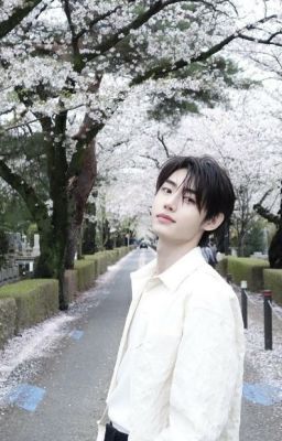 [heehoon/abo] Không thử, sao biết hợp? - edit