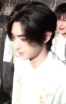 (Heehoon) Rượu soju 