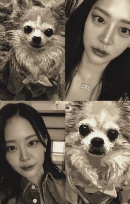 Hẹn gặp lại em trên bầu trời, chị nhớ em Naru