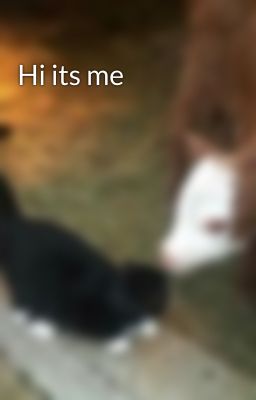 Hi its me